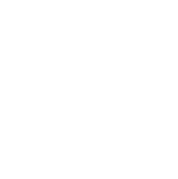 Live-Video-Stream! Für alle daheim.